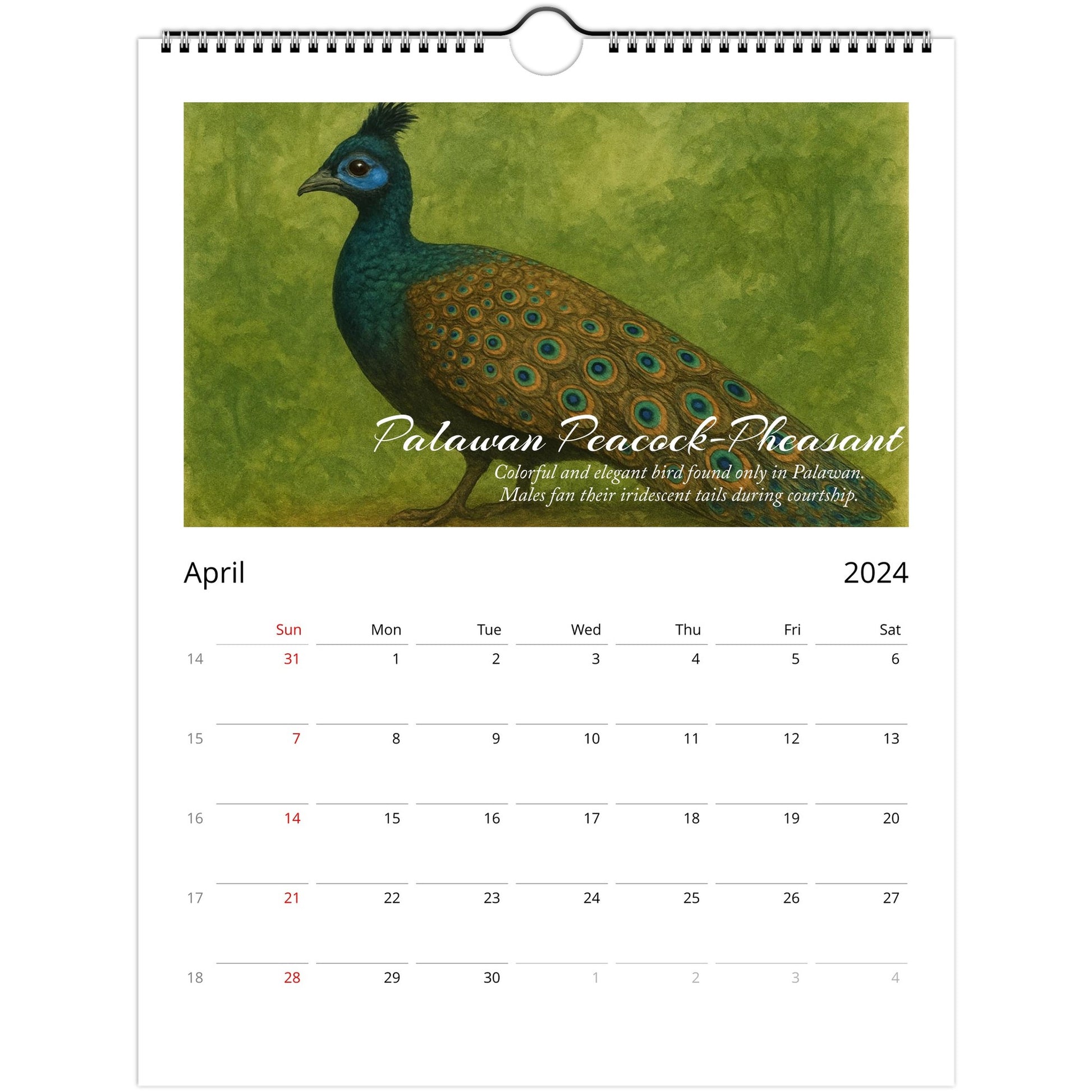 2c3032cd-14cd-4c4d-96cf-df089751f8ed