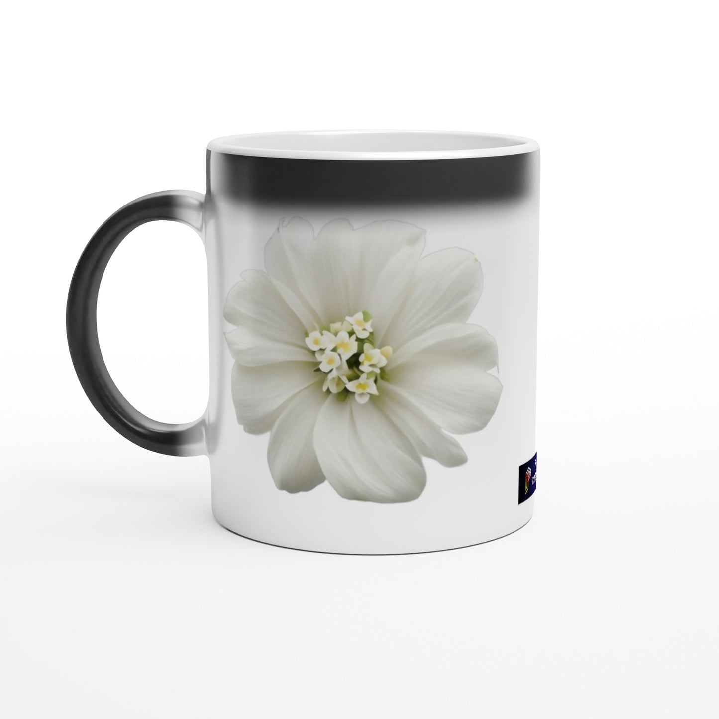 Philippine Sampaguita on 11oz Ceramic Magic Mug