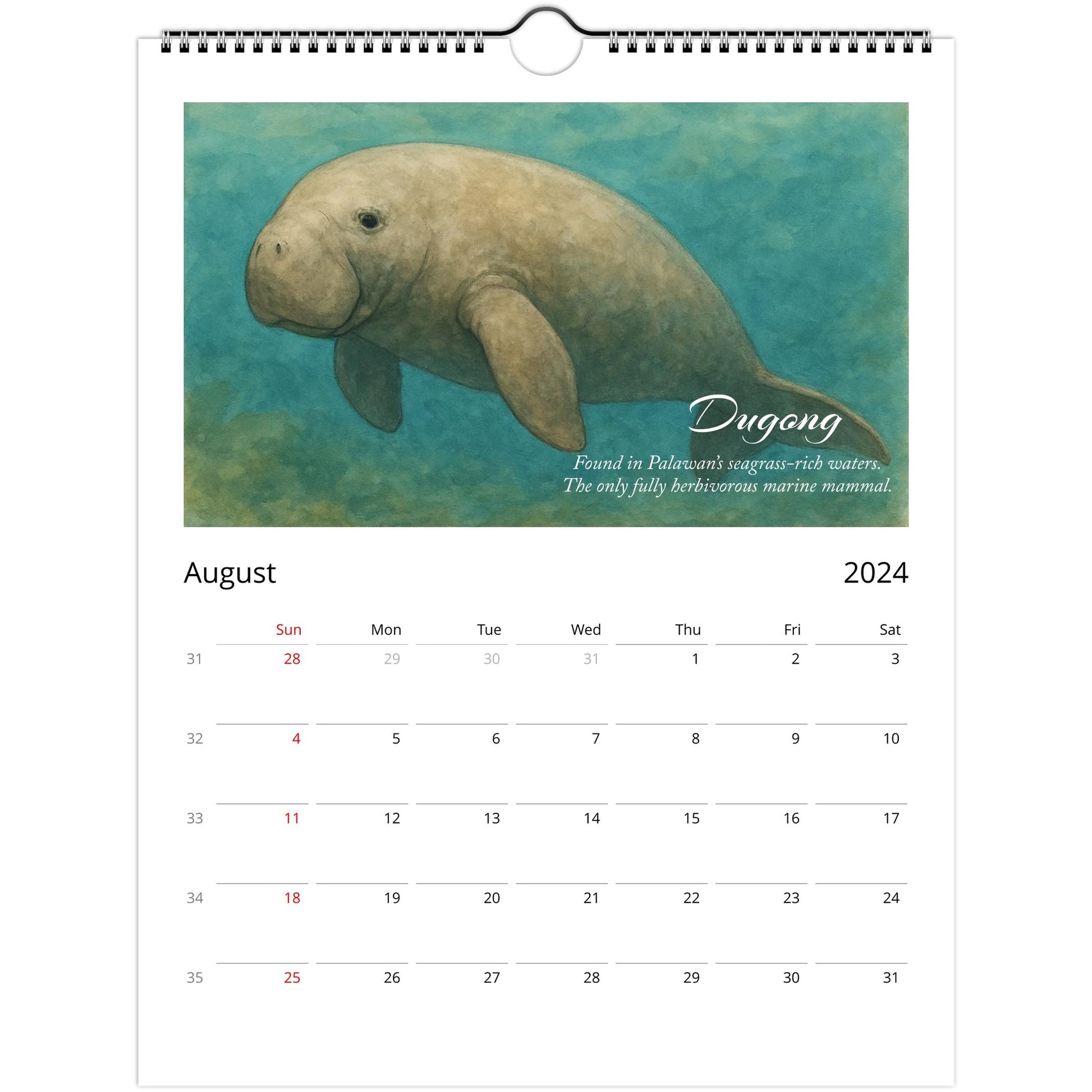 b1c50a8d-55cf-45e8-9d4d-3d4c6661d5fc