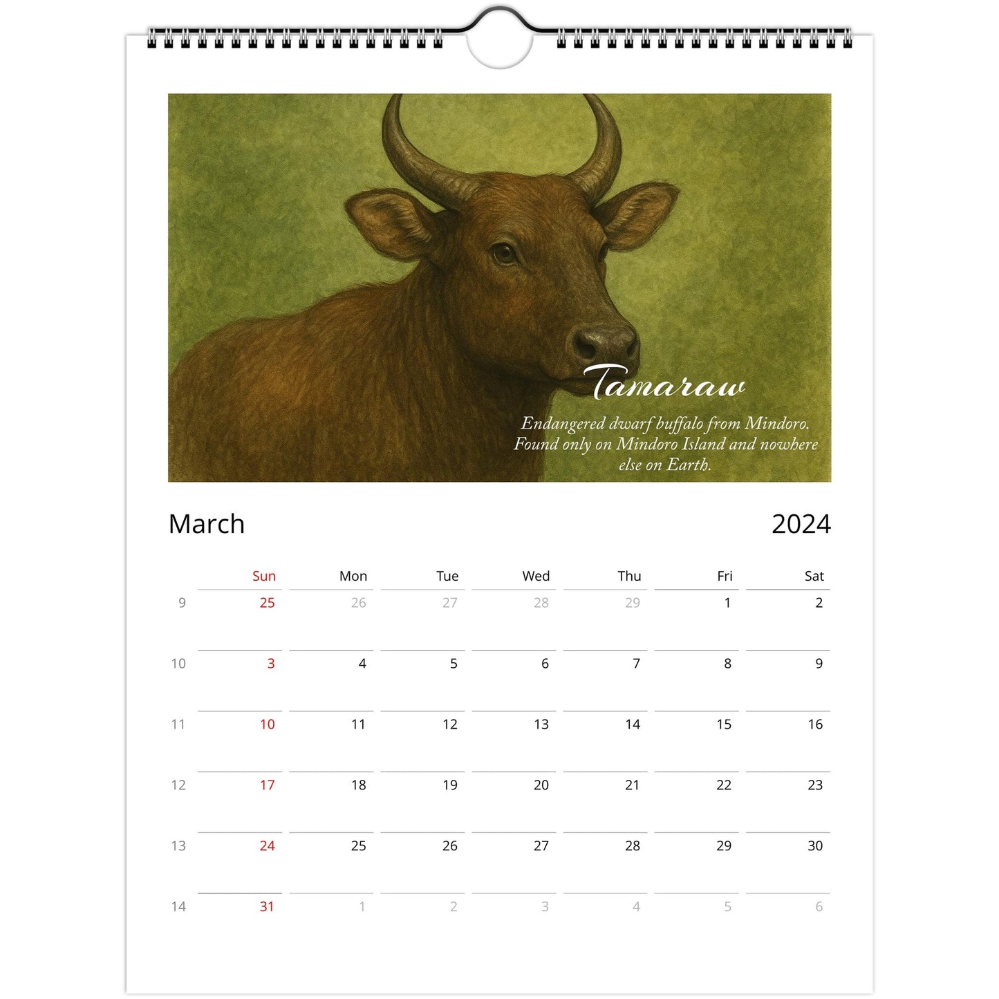 e1b10c59-f2a4-49bd-8ca3-476c2c154b29